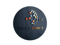 touchforce.in